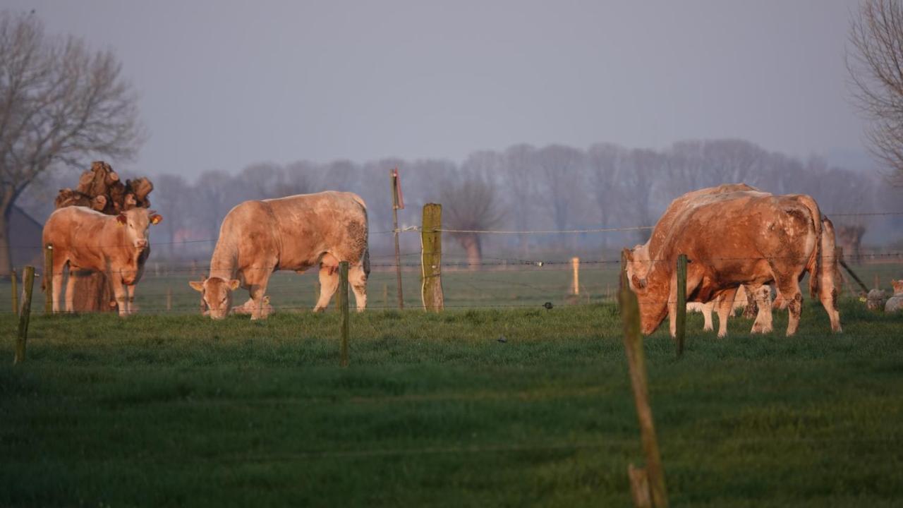 B&B Bij Bronckhorst Steenderen Bagian luar foto